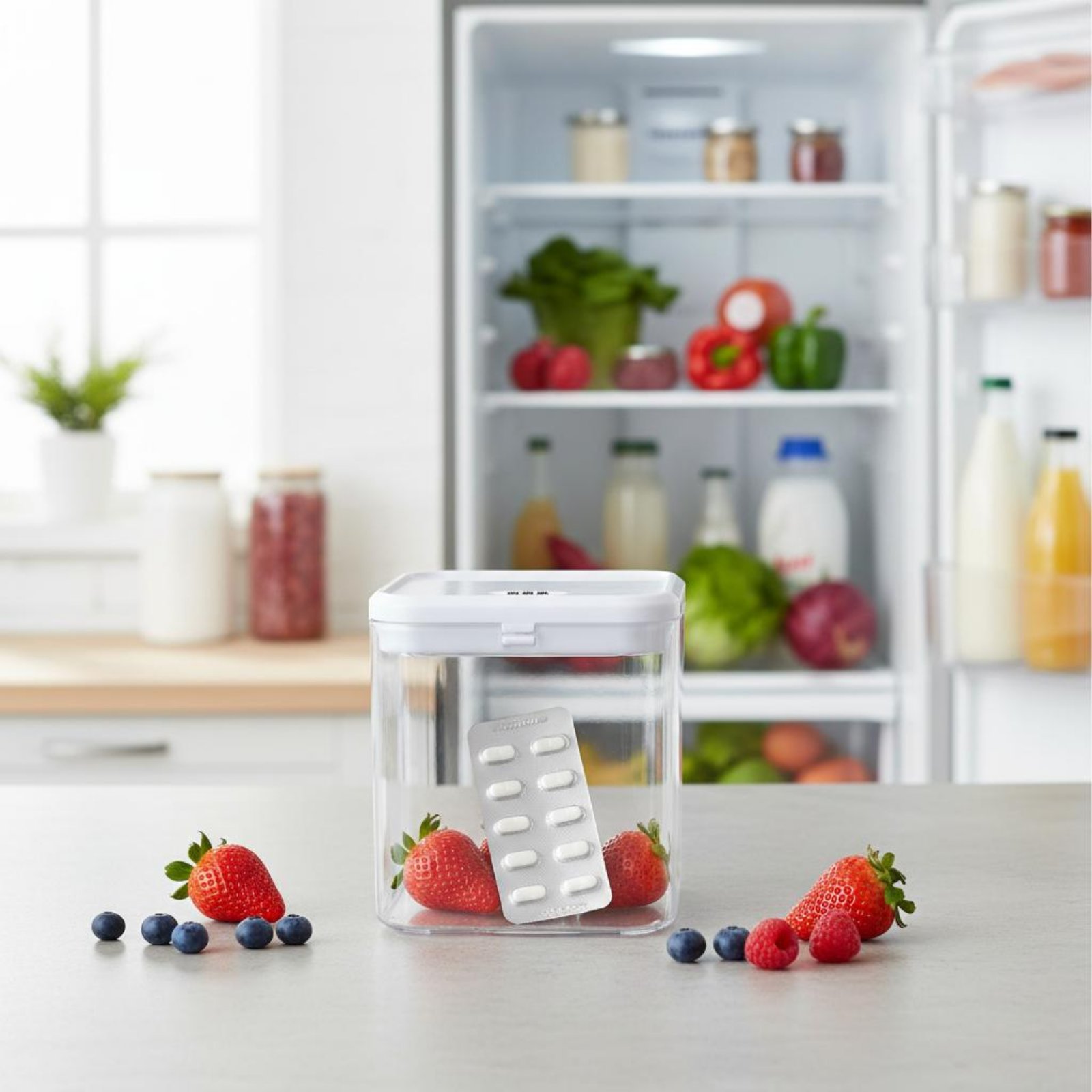 Clear Lockable Box Versatile L - огляд і ціна Food & Snacks Pdf